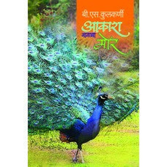 Aakash Navacha Mor | आकाश नावाचा मोर Author: B.S.Kulkarni | बी.एस.कुलकर्णी
