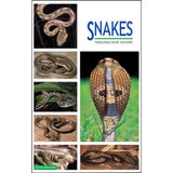 Snakes by Neelimkumar Khaire